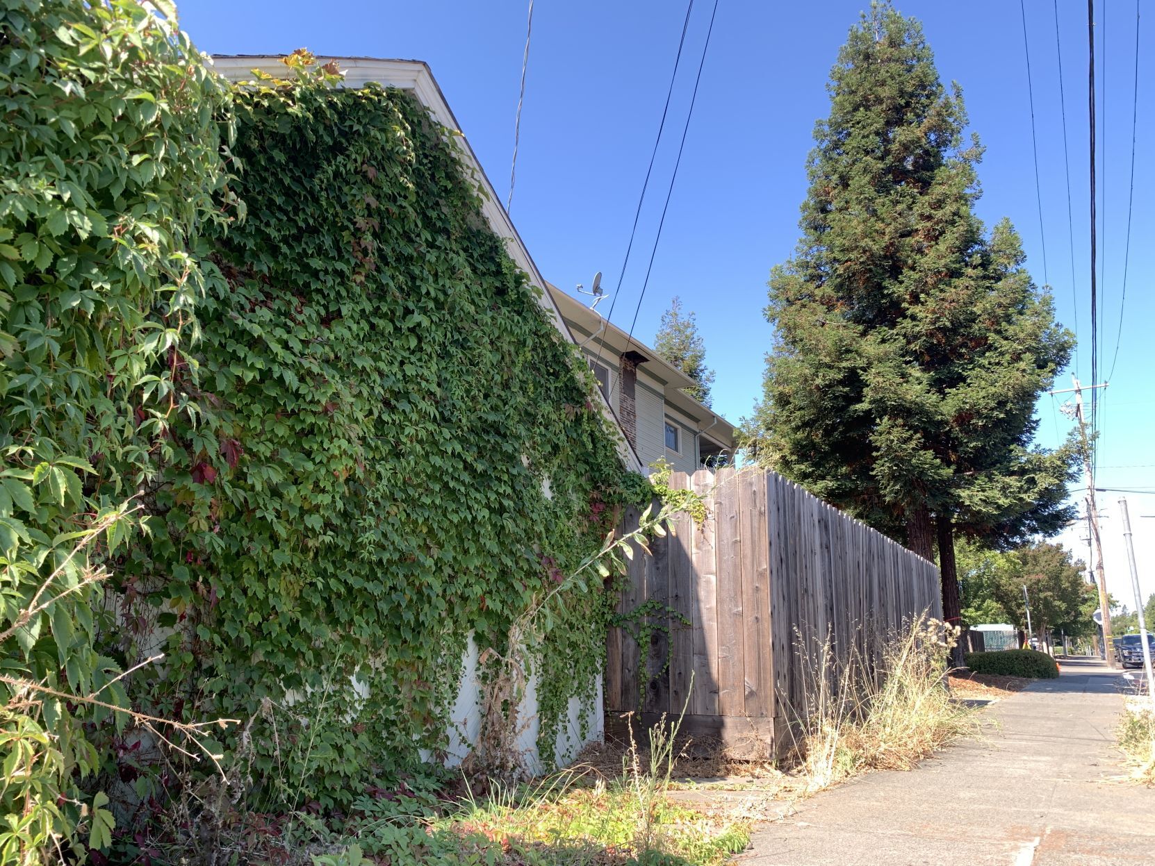 1042 Seminary St. to become Trower House